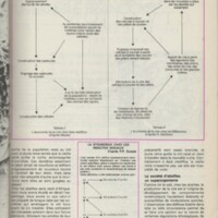 Le courrier du CNRS 30