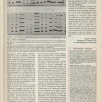 Le courrier du CNRS 21