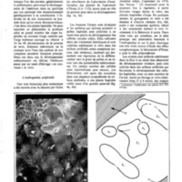 courrier cnrs 50_Page_31.jpg