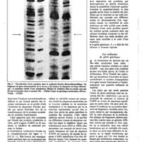 courrier cnrs 41_Page_11.jpg