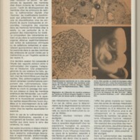 Le courrier du CNRS 23