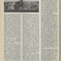 Le courrier du CNRS 26