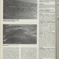 Le courrier du CNRS 28