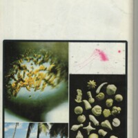 Le courrier du CNRS 32