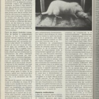 Le courrier du CNRS 28