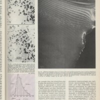 Le courrier du CNRS 11