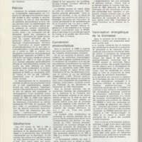 Rapport CNRS 1985