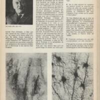 Le courrier du CNRS 2