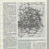 Rapport CNRS 1979-1980