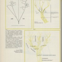 Le courrier du CNRS 12