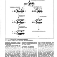courrier cnrs 48_Page_21.jpg