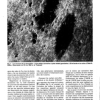 courrier cnrs soleil_Page_20.jpg