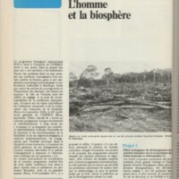 Le courrier du CNRS 13