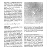 Rapport CNRS 1974-science_116.jpg