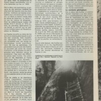 Le courrier du CNRS 25