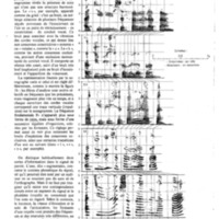 courrier cnrs 45_Page_06.jpg