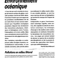 courrier cnrs 72_Page_034.jpg