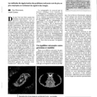 courrier cnrs 77_Page_063.jpg