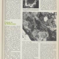 Le courrier du CNRS 10