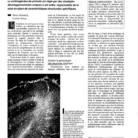 courrier cnrs 79_Page_081.jpg