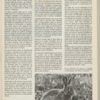 Le courrier du CNRS 17