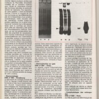 Le courrier du CNRS 26