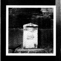 courrier cnrs 48_Page_52.jpg