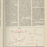 Le courrier du CNRS 32