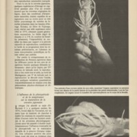 Le courrier du CNRS 36