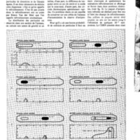 courrier cnrs 45_Page_26.jpg
