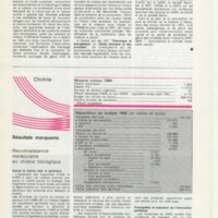 Rapport CNRS 1985