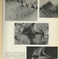 Rapport CNRS 1960-1961