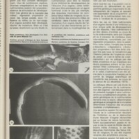 Le courrier du CNRS 23