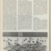 Le courrier du CNRS 19