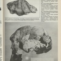 Le courrier du CNRS 22