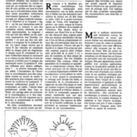 courrier cnrs 48_Page_38.jpg