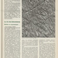 Le courrier du CNRS 19