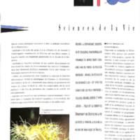 rapport 1988_045.jpg