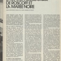 Le courrier du CNRS 29