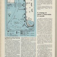 Le courrier du CNRS 31