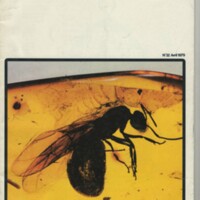 Le courrier du CNRS 32