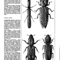 courrier cnrs 40_Page_60.jpg