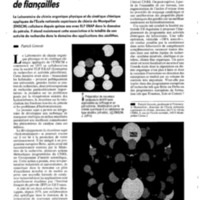 courrier cnrs 74_Page_36.jpg