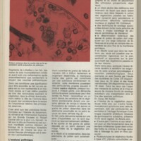 Le courrier du CNRS 26