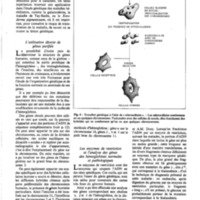 courrier cnrs 41_Page_44.jpg