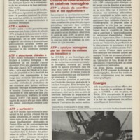 Le courrier du CNRS 20