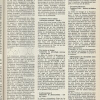 Le courrier du CNRS 13