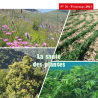 A3Magazine76Plantes_Page_01.jpg