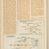 Le courrier du CNRS 33