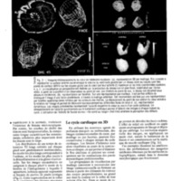 courrier cnrs 77_Page_084.jpg